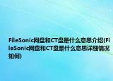 FileSonic網(wǎng)盤和CT盤是什么意思介紹(FileSonic網(wǎng)盤和CT盤是什么意思詳細情況如何)