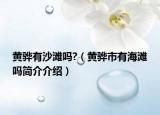 黃驊有沙灘嗎?（黃驊市有海灘嗎簡(jiǎn)介介紹）