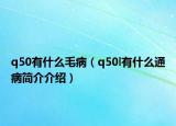 q50有什么毛?。╭50l有什么通病簡介介紹）