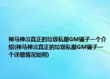神馬神泣真正的垃圾私服GM騙子一個(gè)介紹(神馬神泣真正的垃圾私服GM騙子一個(gè)詳細(xì)情況如何)