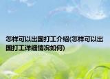 怎樣可以出國打工介紹(怎樣可以出國打工詳細(xì)情況如何)