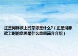正是河豚欲上時(shí)意思是什么?（正是河豚欲上時(shí)的意思是什么意思簡介介紹）