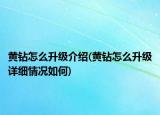 黃鉆怎么升級(jí)介紹(黃鉆怎么升級(jí)詳細(xì)情況如何)