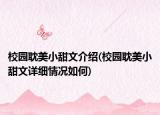 校園耽美小甜文介紹(校園耽美小甜文詳細情況如何)