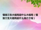 情定三生大結(jié)局是什么大結(jié)局（情定三生大結(jié)局是什么簡介介紹）