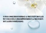 SJ和東方神起演的反轉(zhuǎn)劇有什么?他們各是代表什么動物?介紹(SJ和東方神起演的反轉(zhuǎn)劇有什么?他們各是代表什么動物?詳細(xì)情況如何)