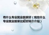有什么專(zhuān)業(yè)就業(yè)前景好（現(xiàn)在什么專(zhuān)業(yè)就業(yè)前景比較好簡(jiǎn)介介紹）