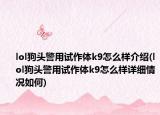 lol狗頭警用試作體k9怎么樣介紹(lol狗頭警用試作體k9怎么樣詳細情況如何)