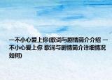 一不小心愛上你(歌詞與劇情簡介介紹 一不小心愛上你 歌詞與劇情簡介詳細情況如何)