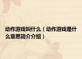 動(dòng)作游戲叫什么（動(dòng)作游戲是什么意思簡(jiǎn)介介紹）