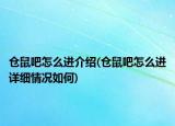 倉鼠吧怎么進(jìn)介紹(倉鼠吧怎么進(jìn)詳細(xì)情況如何)