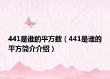 441是誰(shuí)的平方數(shù)（441是誰(shuí)的平方簡(jiǎn)介介紹）
