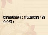 歐碼百度百科（什么是歐碼﹖簡(jiǎn)介介紹）