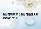 五月花啥意思（五月花是什么意思簡(jiǎn)介介紹）