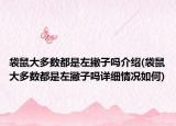 袋鼠大多數(shù)都是左撇子嗎介紹(袋鼠大多數(shù)都是左撇子嗎詳細(xì)情況如何)