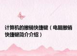 計(jì)算機(jī)的撤銷快捷鍵（電腦撤銷快捷鍵簡(jiǎn)介介紹）
