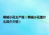 桐城小花主產(chǎn)地（桐城小花是什么簡(jiǎn)介介紹）