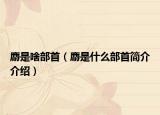 麝是啥部首（麝是什么部首簡(jiǎn)介介紹）