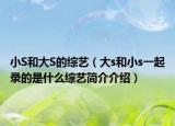 小S和大S的綜藝（大s和小s一起錄的是什么綜藝簡介介紹）