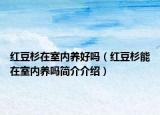 紅豆杉在室內(nèi)養(yǎng)好嗎（紅豆杉能在室內(nèi)養(yǎng)嗎簡(jiǎn)介介紹）