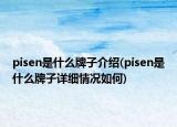 pisen是什么牌子介紹(pisen是什么牌子詳細(xì)情況如何)
