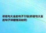 祈使句大全的句子介紹(祈使句大全的句子詳細(xì)情況如何)
