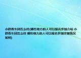 小胖看車團怎么樣(哪些地方的人可以報名參加介紹 小胖看車團怎么樣 哪些地方的人可以報名參加詳細(xì)情況如何)