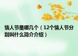 情人節(jié)是哪幾個（12個情人節(jié)分別叫什么簡介介紹）