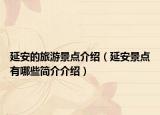 延安的旅游景點(diǎn)介紹（延安景點(diǎn)有哪些簡(jiǎn)介介紹）