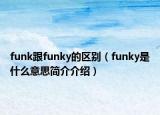 funk跟funky的區(qū)別（funky是什么意思簡介介紹）
