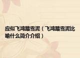 應(yīng)似飛鴻踏雪泥（飛鴻踏雪泥比喻什么簡介介紹）