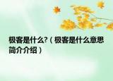 極客是什么?（極客是什么意思簡(jiǎn)介介紹）
