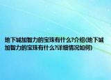 地下城加智力的寶珠有什么?介紹(地下城加智力的寶珠有什么?詳細(xì)情況如何)