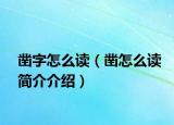 鑿字怎么讀（鑿怎么讀簡介介紹）