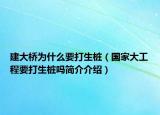 建大橋?yàn)槭裁匆蛏鷺叮▏掖蠊こ桃蛏鷺秵岷喗榻榻B）