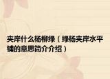 夾岸什么楊柳綠（綠楊?yuàn)A岸水平鋪的意思簡(jiǎn)介介紹）