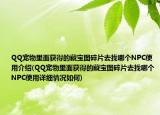 QQ寵物里面獲得的藏寶圖碎片去找哪個NPC使用介紹(QQ寵物里面獲得的藏寶圖碎片去找哪個NPC使用詳細情況如何)