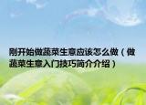 剛開(kāi)始做蔬菜生意應(yīng)該怎么做（做蔬菜生意入門(mén)技巧簡(jiǎn)介介紹）