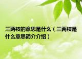 三兩枝的意思是什么（三兩枝是什么意思簡介介紹）