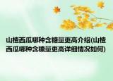 山楂西瓜哪種含糖量更高介紹(山楂西瓜哪種含糖量更高詳細(xì)情況如何)