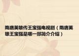 隋唐英雄傳王寶強電視?。ㄋ逄朴⑿弁鯇殢娛悄囊徊亢喗榻榻B）