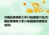 灼眼的夏娜第三季23的插曲介紹(灼眼的夏娜第三季23的插曲詳細(xì)情況如何)