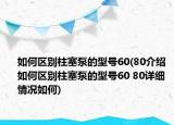 如何區(qū)別柱塞泵的型號(hào)60(80介紹 如何區(qū)別柱塞泵的型號(hào)60 80詳細(xì)情況如何)