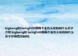 bigbang的(tonight中那兩個金色頭發(fā)的叫什么名字介紹 bigbang的 tonight中那兩個金色頭發(fā)的叫什么名字詳細情況如何)