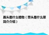 藠頭是什么植物（茭頭是什么菜簡介介紹）