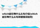 which能引導什么從句介紹(which能引導什么從句詳細情況如何)