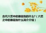 古代六藝中的御是指的什么?（六藝之中的御是指什么簡介介紹）