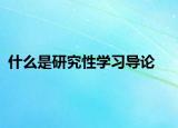 什么是研究性學(xué)習(xí)導(dǎo)論