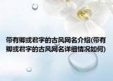 帶有卿或君字的古風(fēng)網(wǎng)名介紹(帶有卿或君字的古風(fēng)網(wǎng)名詳細情況如何)