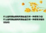什么是熊貓血擁有熊貓血是怎樣一種感受介紹(什么是熊貓血擁有熊貓血是怎樣一種感受詳細(xì)情況如何)